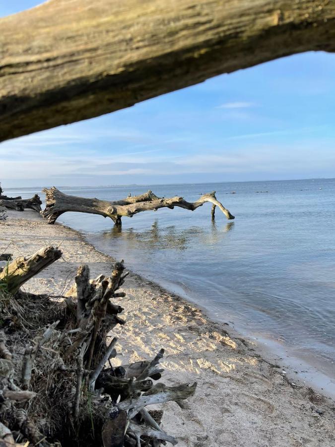 Rustow Urlaub Nahe Der Peene Naehe Der Ostsee מראה חיצוני תמונה