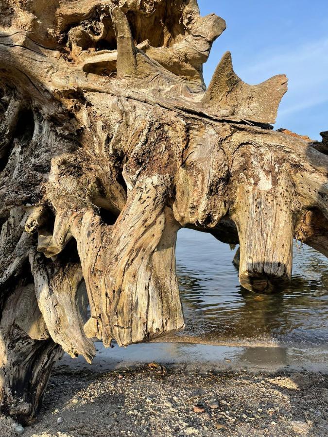 Rustow Urlaub Nahe Der Peene Naehe Der Ostsee מראה חיצוני תמונה